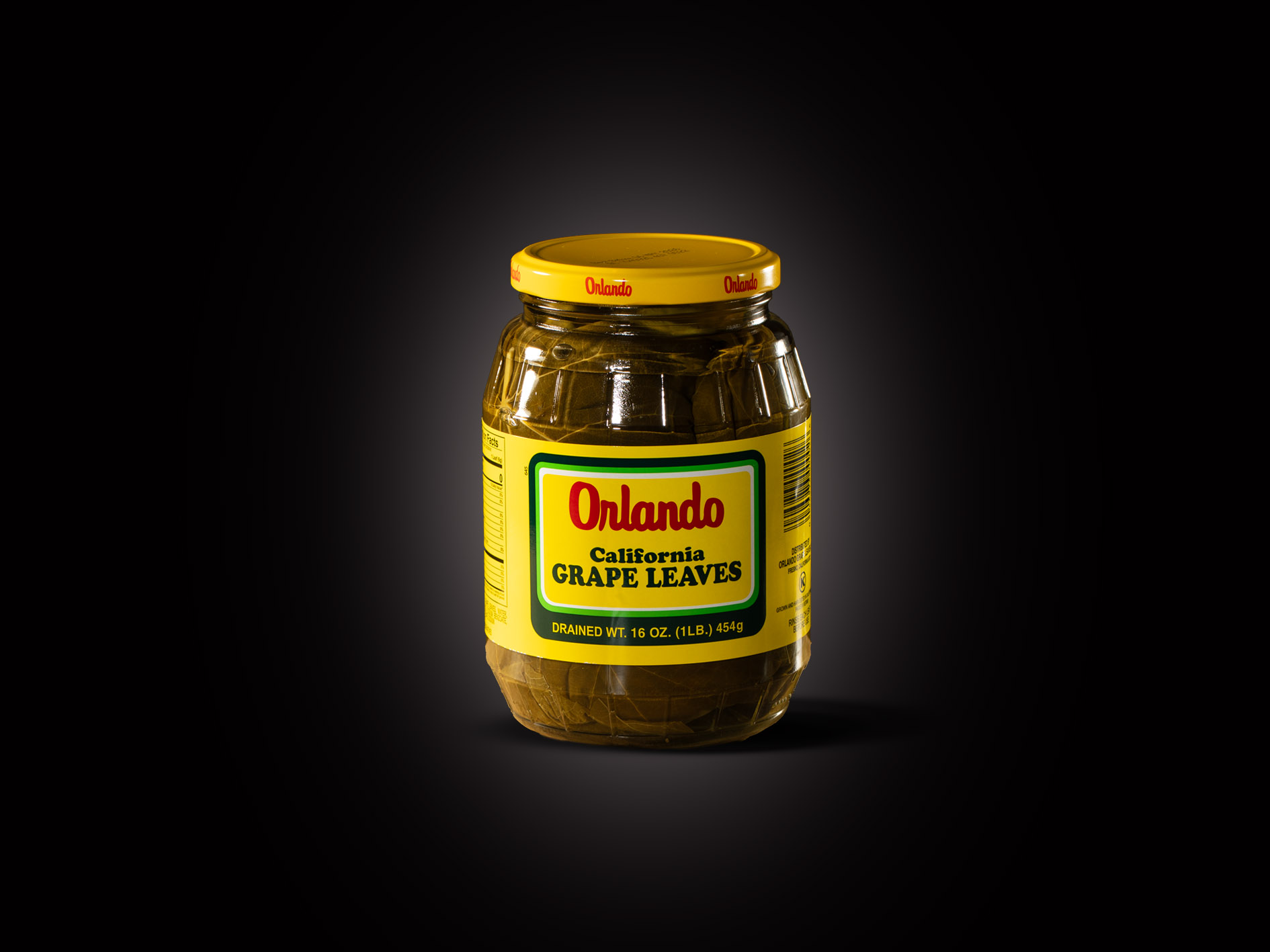 GRAPE LEAVES CALIFORNIA